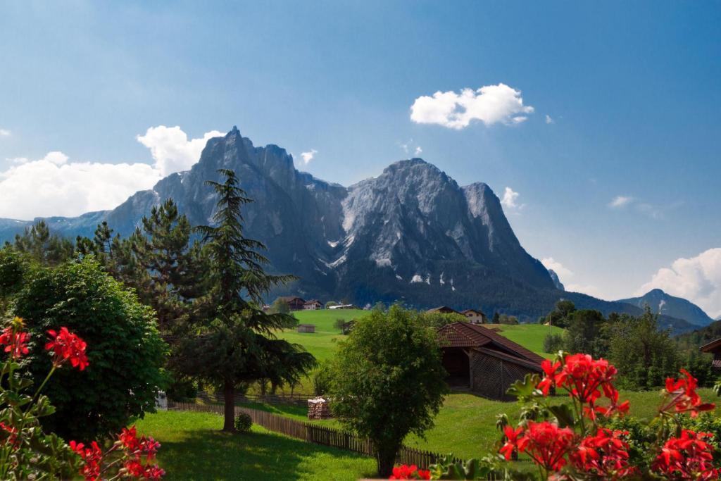 Hotel Viktoria Castelrotto Rum bild